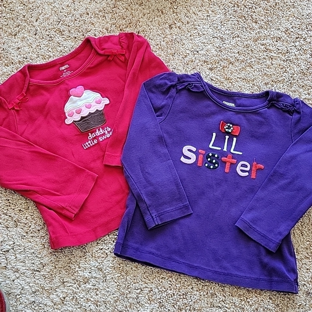 Gymboree lot - 2 long sleeve shirts, 2T
